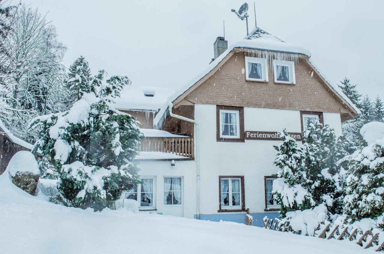 Schwarzwald Apartments Im Haus Tanneck - Feldberg - Titisee 외부 사진
