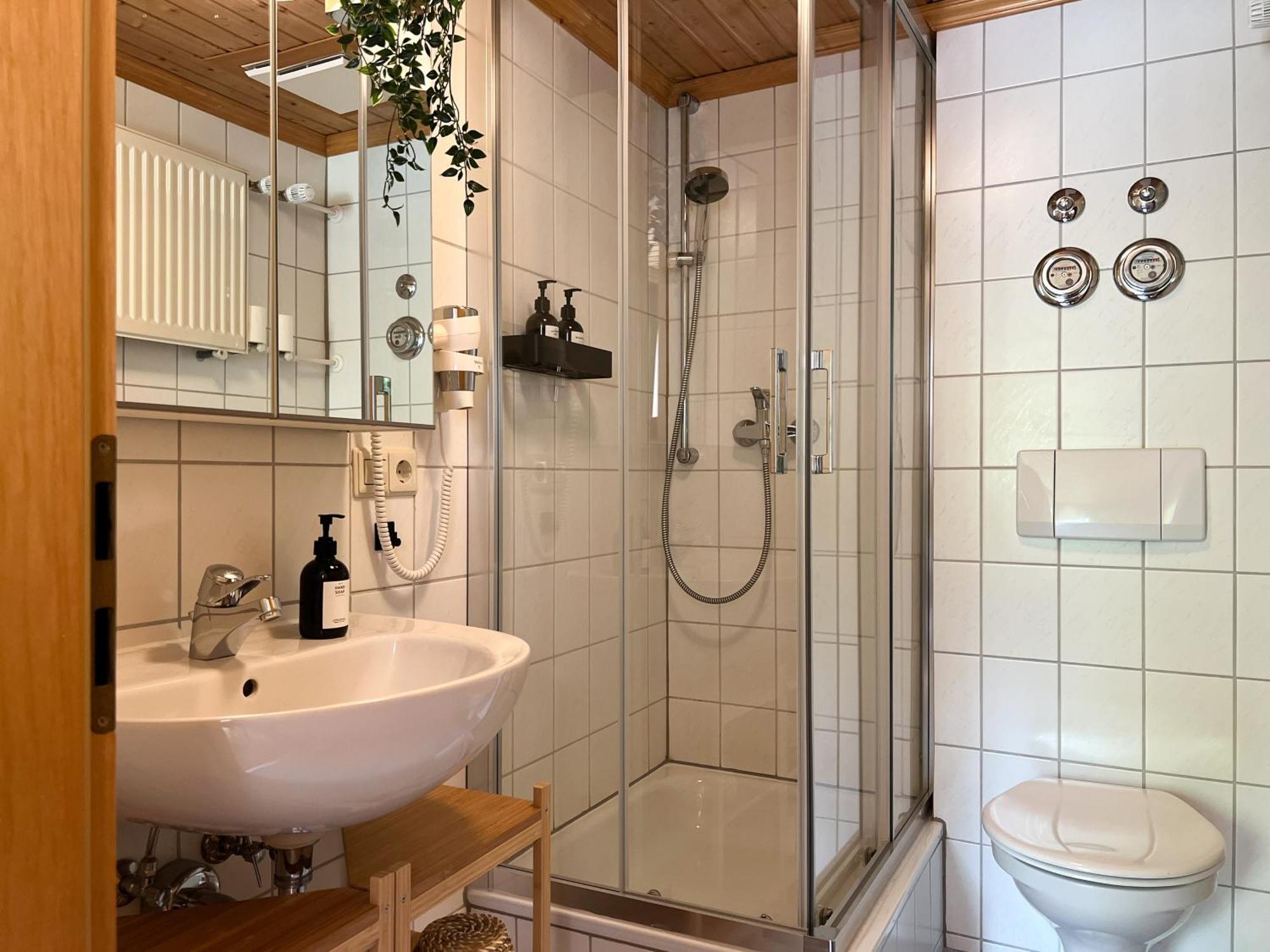 Schwarzwald Apartments Im Haus Tanneck - Feldberg - Titisee 외부 사진